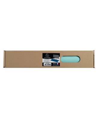 Sous-main souple PU 35x60 tropiqu/canard