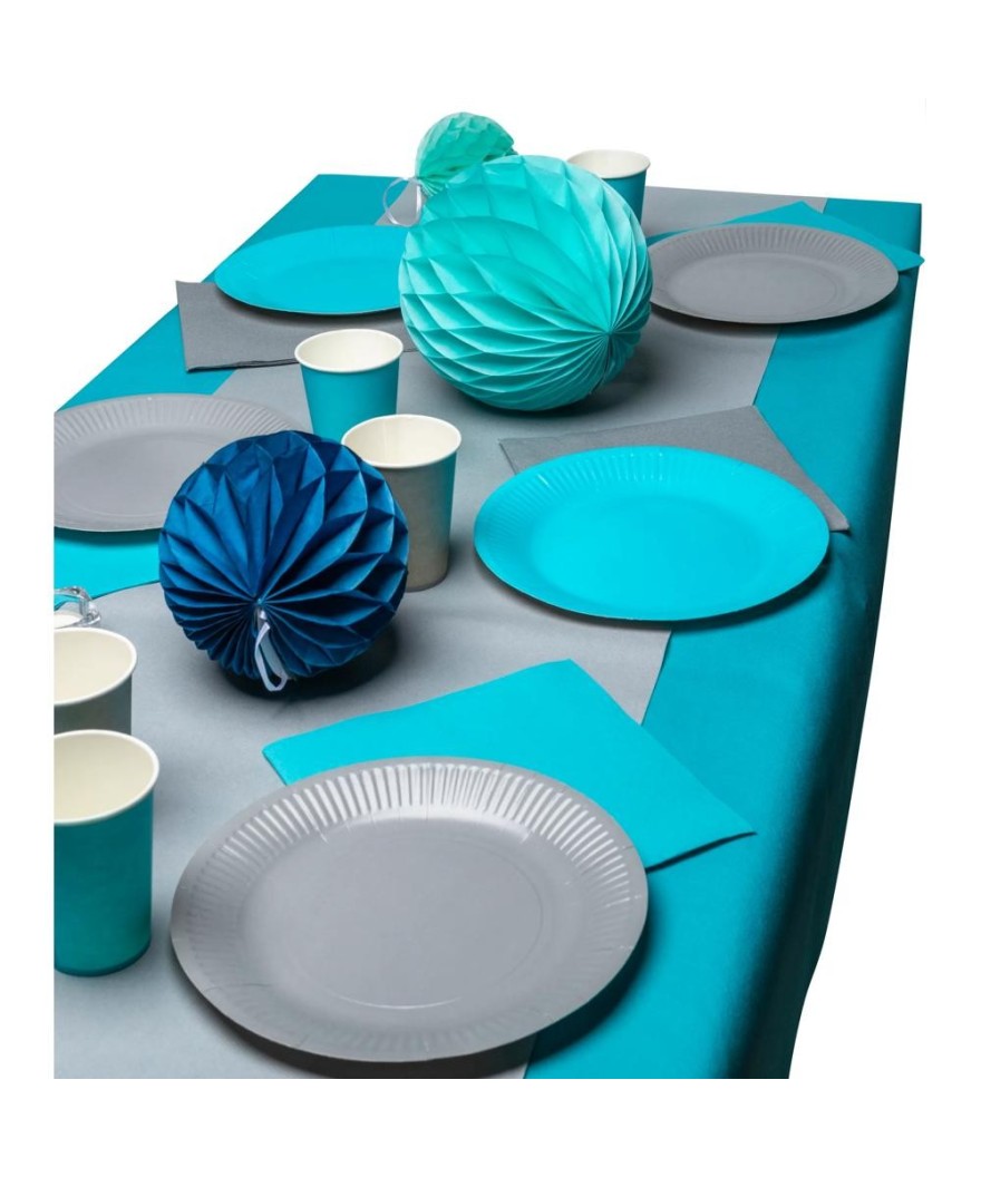 20 Assiettes carton rond Ø23cm Turquoise
