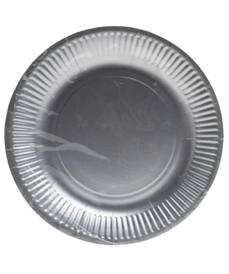 10 Assiettes carton rond Ø23 cm Argent