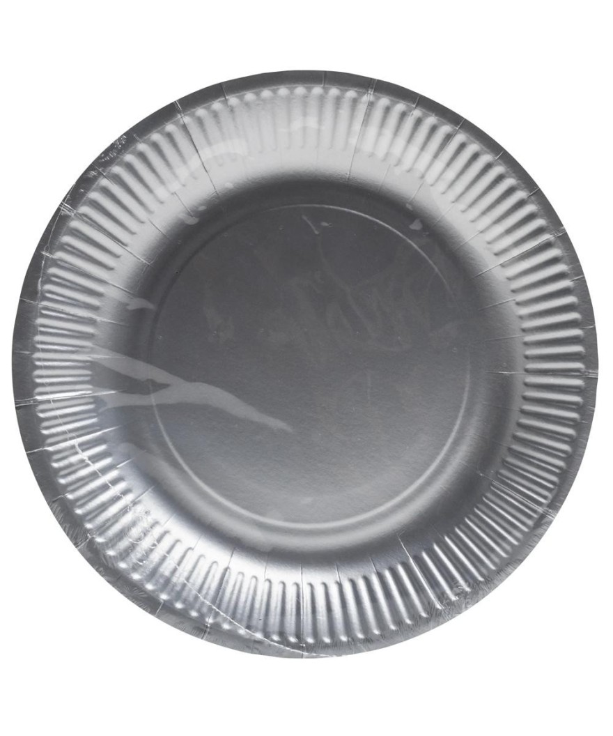 10 Assiettes carton rond Ø23 cm Argent