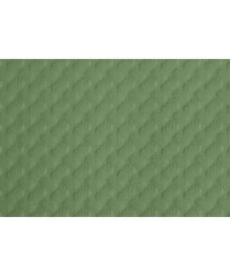 500 Sets de table TISS LACK 30x40 Vert O