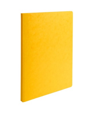 Pt 25 chemises lustro-carte 225g ass 5c.
