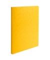 Pt 25 chemises lustro-carte 225g ass 5c.