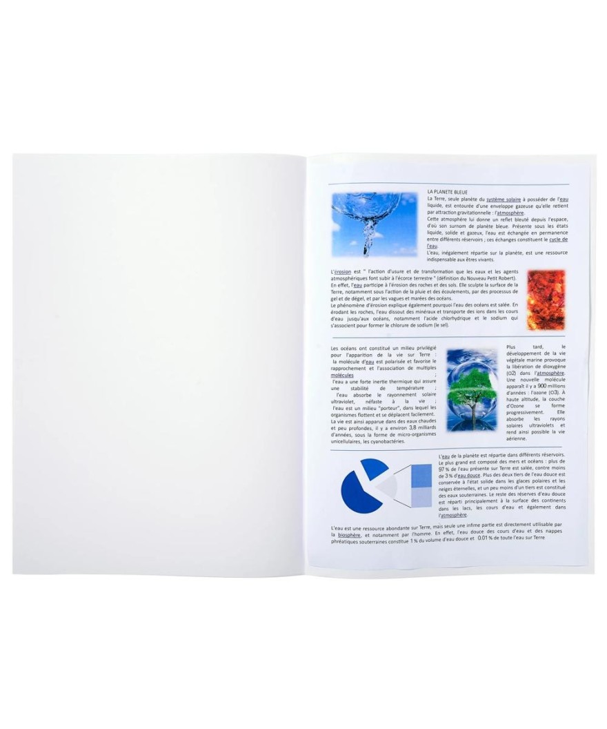 Pt 100 cotes de plaidoirie 90g blanc