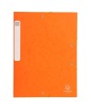 CARTOBOX Nature Future Cte L.D25 ORANGE