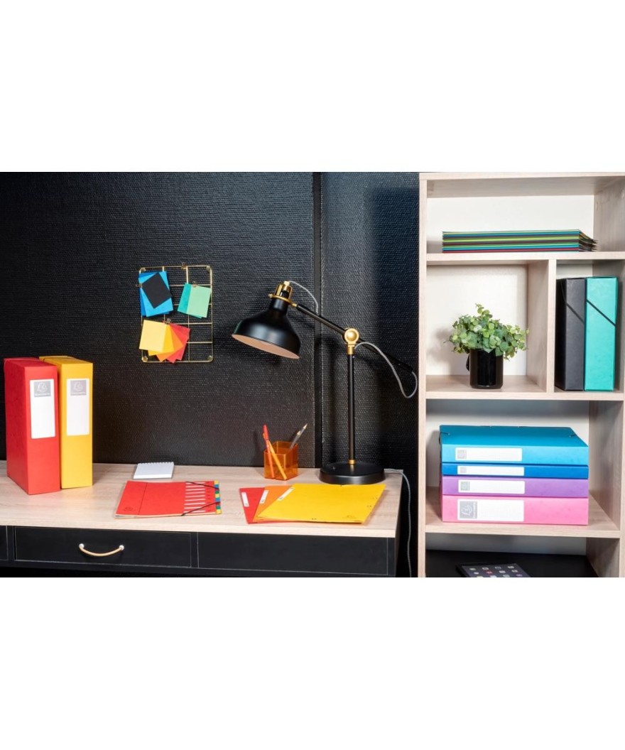 Bte Classement CL D25 EXABOX NFTurquoise