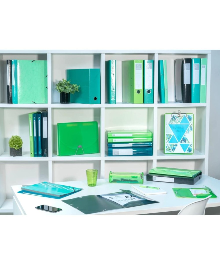 Bte classemt A4 D40mm 7/10° Iderama anis