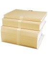 CHEMISES DOS EXTENSIBLE 360X260 Mastic