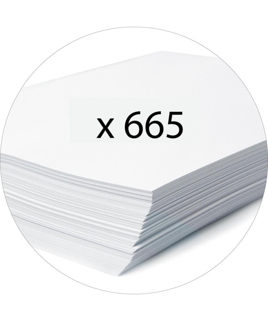 C.L.PAPIER MARBRE DOS GRIS A4 D70 A/PERF