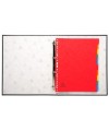 CLAS.PVC 320X240 4AX-30MM ASS.