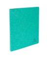 Class. Carte Lustrée 2ANX 15 mm Vert