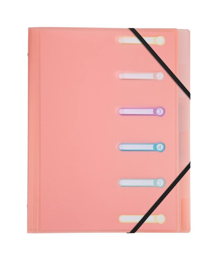 Trieur PP 6 compartiments Chrom.Pastel
