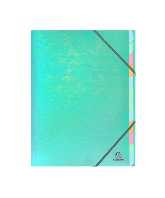 Trieur agrafé PP+carte 12. A4 Candy Tidy