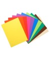 Pt 10 chemises FLASH 220 assorti