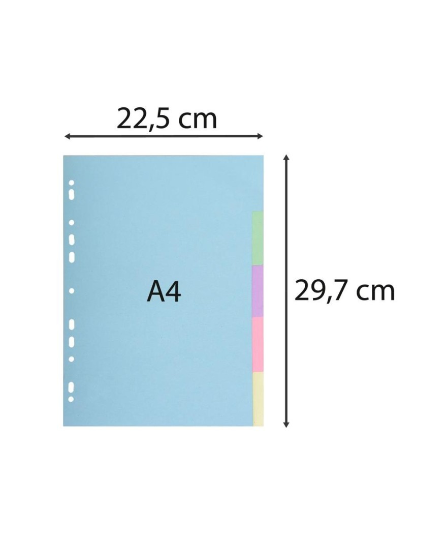 INTERCAL.CARTE FORTE A4 5P Coul Pastel