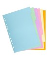INTERCAL.CARTE FORTE A4 6P.Coul Pastel