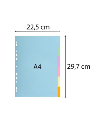 INTERCAL.CARTE FORTE A4 6P.Coul Pastel
