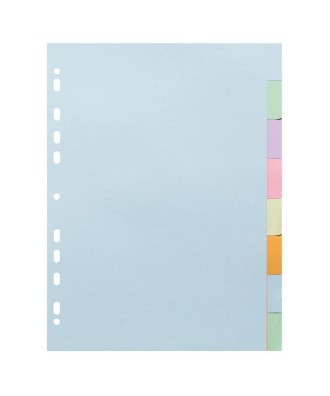 INTERC.CARTE FORTE A4 8P.Coul Pastel