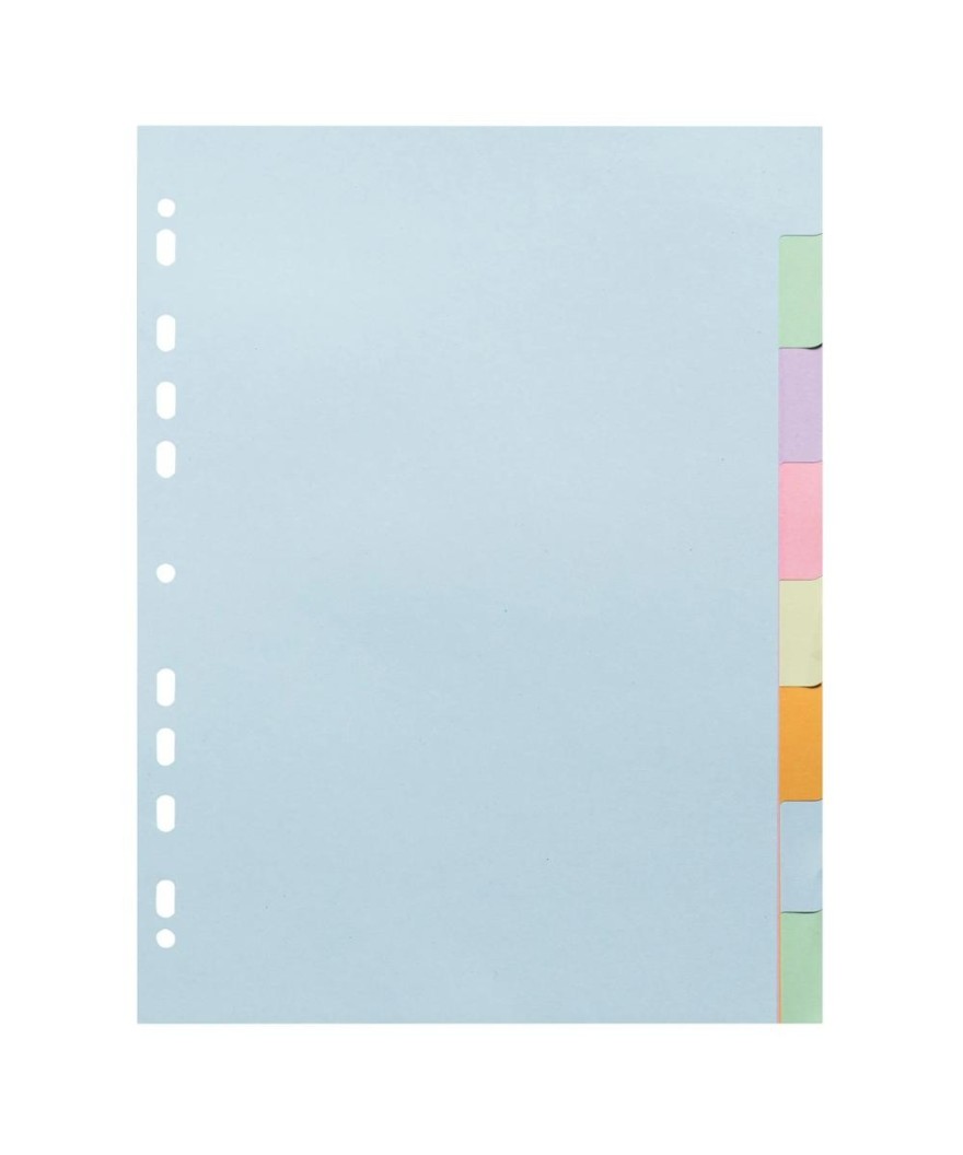 INTERC.CARTE FORTE A4 8P.Coul Pastel