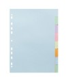 INTERC.CARTE FORTE A4 8P.Coul Pastel