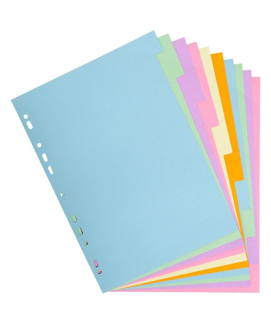 Intercal. Carte Forte A4 10P Coul.Pastel