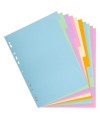 Intercal. Carte Forte A4 10P Coul.Pastel