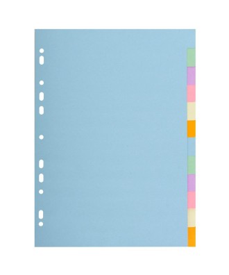 INTERC.CARTE FORTE A4 12P.Coul Pastel