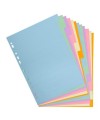INTERC.CARTE FORTE A4 12P.Coul Pastel