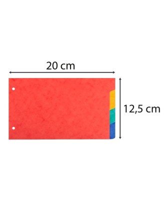 Intercalaires 12,5x20 carte lustrée 4Pos