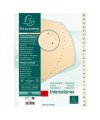 INTERCAL.CARTE PEAU A4 24 POS. A-Z