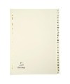 INTERCAL. CARTE PEAU A4 26 POS. A-Z
