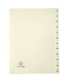 INTERCAL.CARTE PEAU A4 12 POS. JANV/DEC.