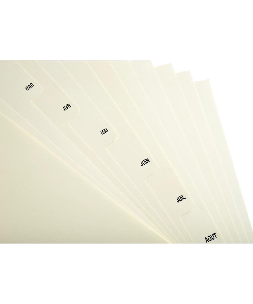 INTERCAL.CARTE PEAU A4 12 POS. JANV/DEC.
