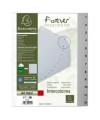 Intercalaires 1-12 A4+ PP gris ongl.imp.
