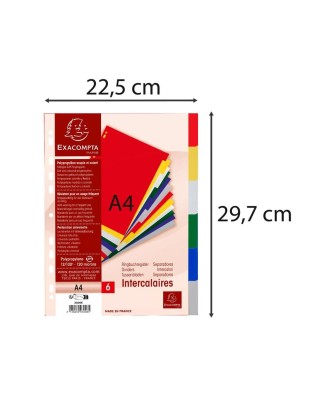 Intercalaire  A4 PP 12/100 6 positions