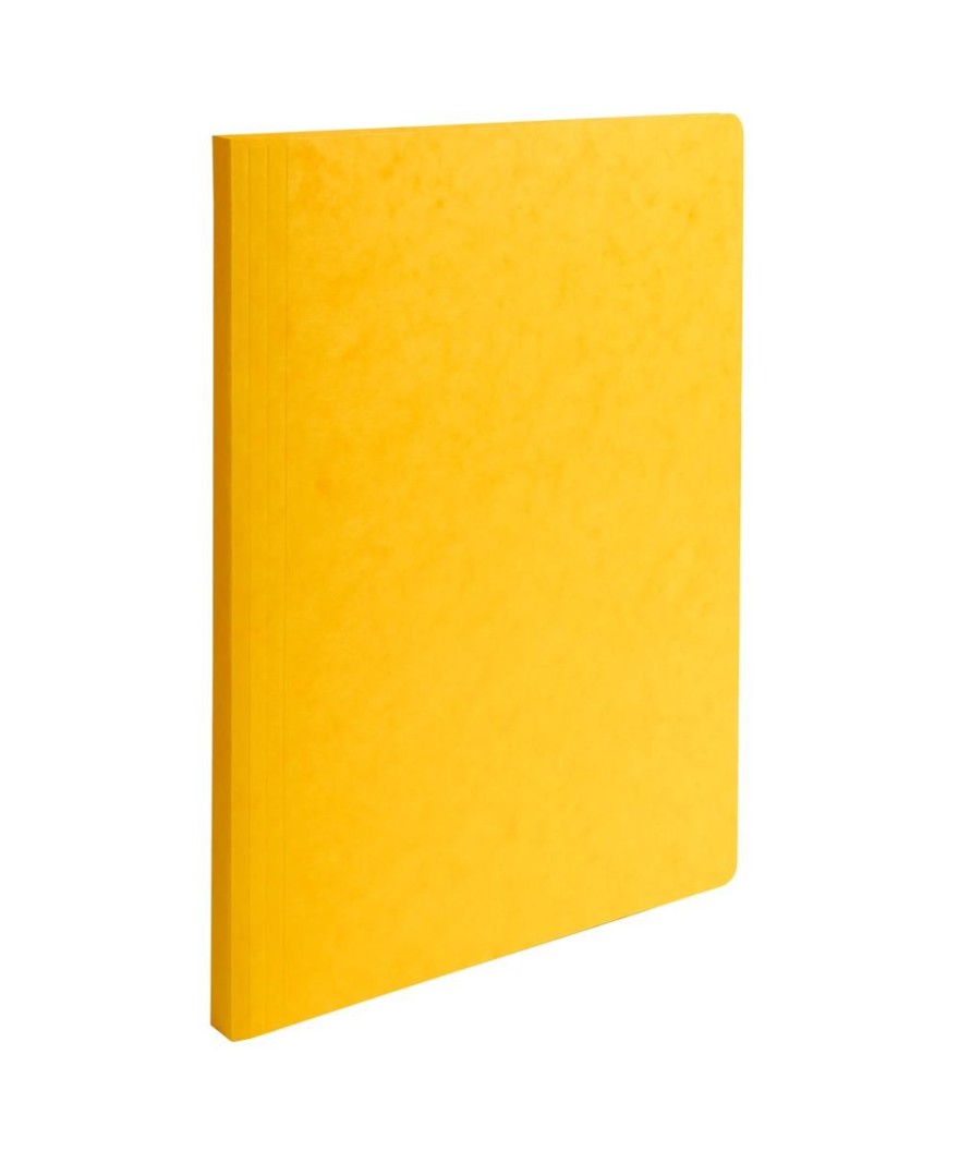 Pt 25 chemises lustro-carte 225g ass 5c.