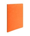 Pt 25 chemises lustro-carte 225g ass 5c.