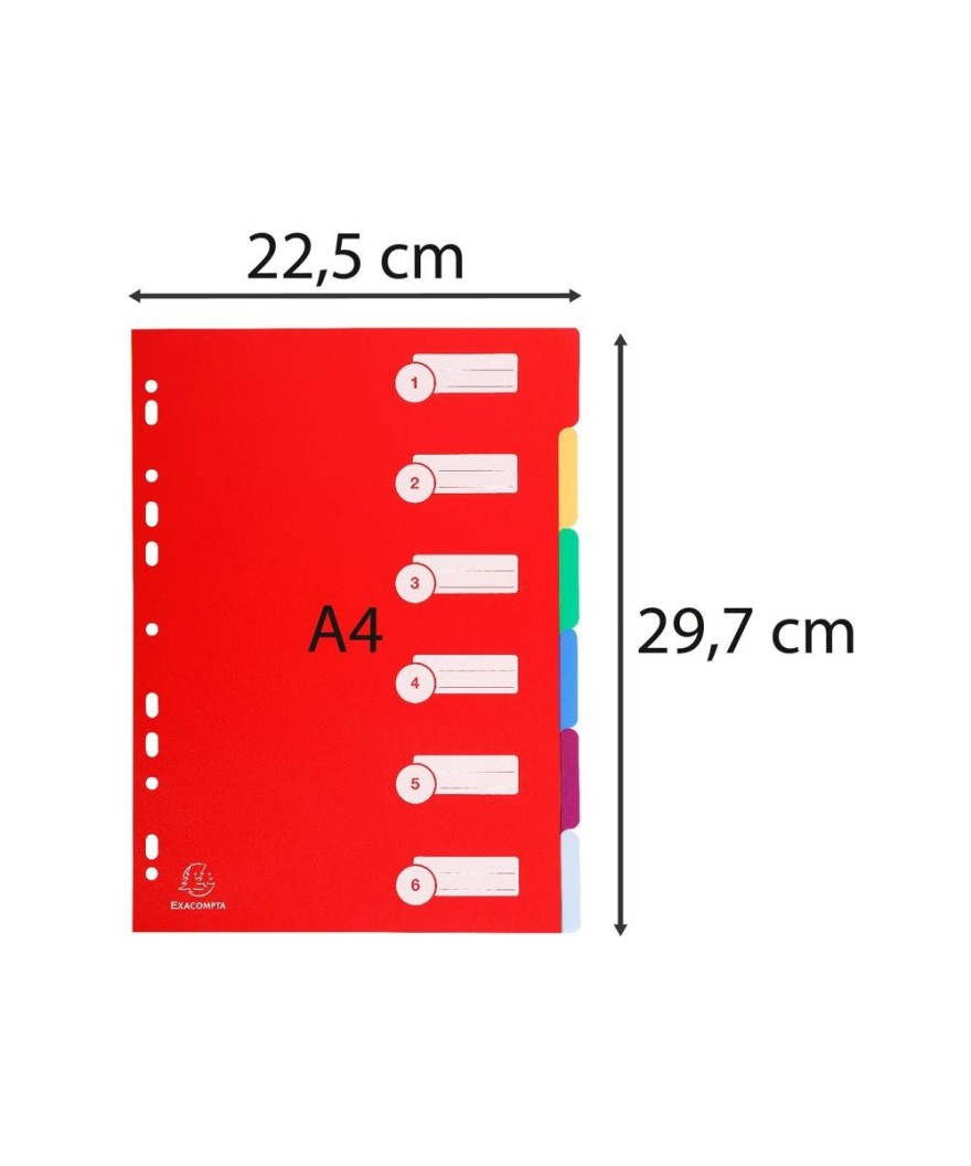 Intercalaire A4 PP 30/100 6 positions