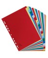 Intercal.A4 Alpha A-Z 20 PP coul.+ index