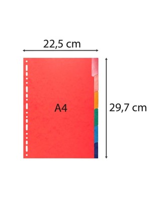 Intercal.6P A4 cart.lust.225g+ongl.renf.