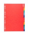 Intercal.12P A4 c.lust.225g+ongl.renf.