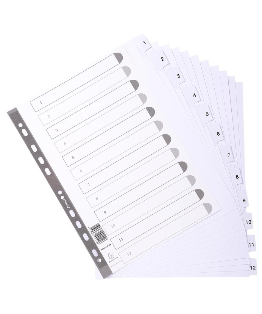 Intercal.carte blanche A4+ 12 Pos.1-12