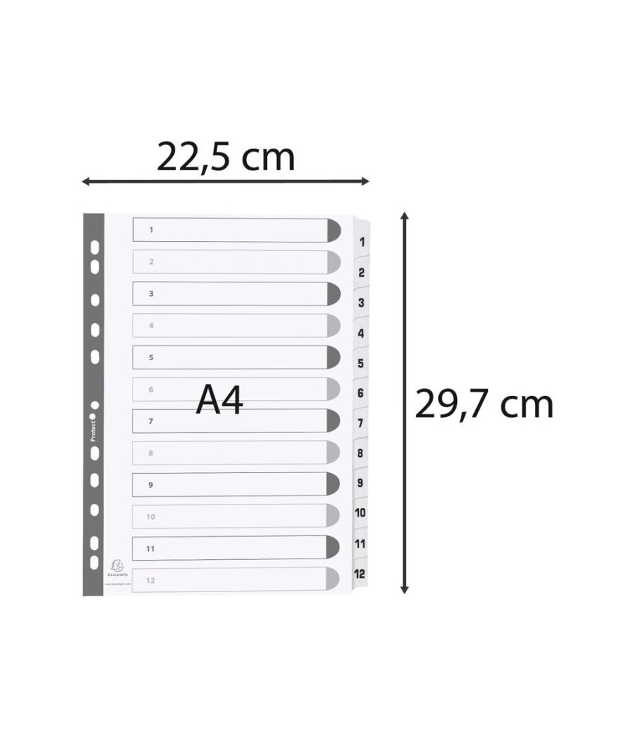 Intercal.carte blanche A4 12 Pos.1-12