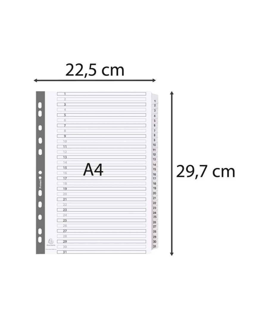 Intercal.carte blanche A4 31 Pos. 1-31