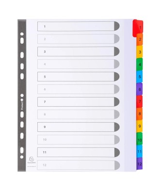 Intercal.12P A4+ carte bl./ongl.coul.imp