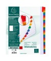 Intercal.31P A4+ carte bl./ongl.coul.imp