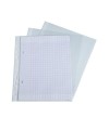 Sachet 10 Poch.perf.Ecolier PP grainé