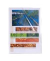 E.C.100 POCH. Coin PP LISSE 12/100