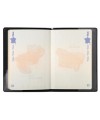 Etui protection RFID Hidentity®Passport