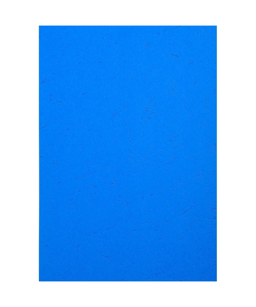 PK 100F FOREVER BLEU A4 270G